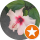 Kelly R Profile Photo