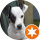 David Jones Profile Photo